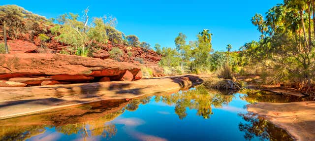 Escursione a Palm Valley in 4x4