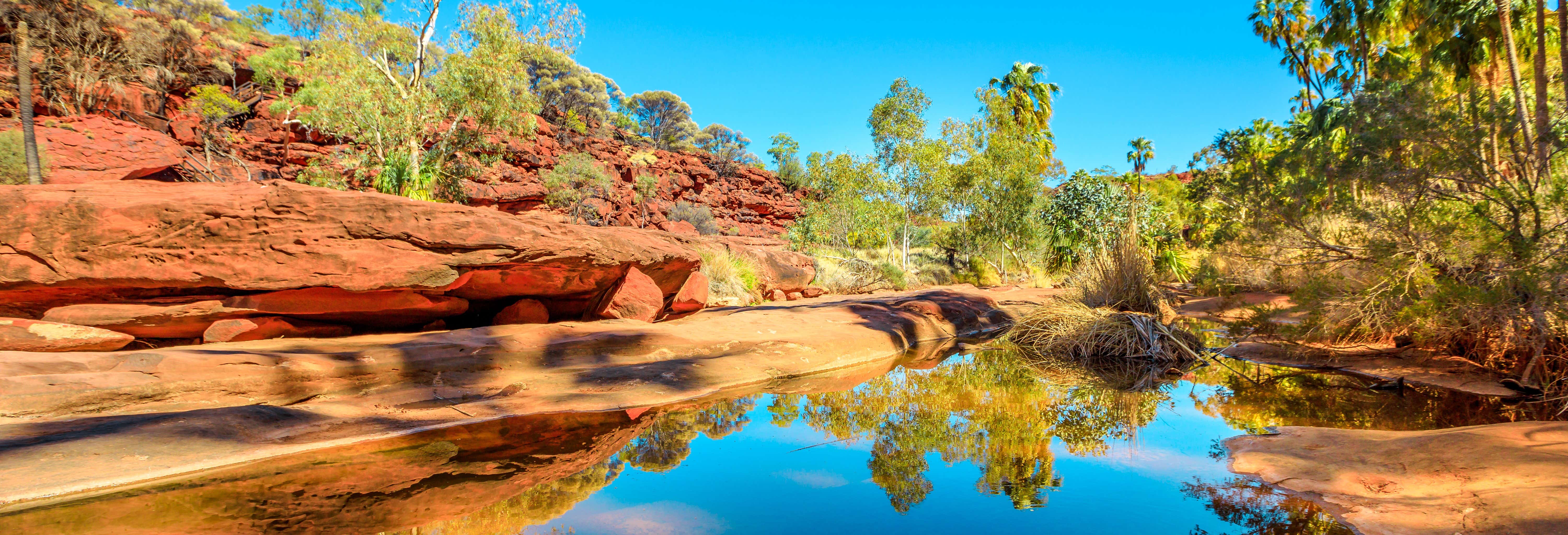 Escursione a Palm Valley in 4x4
