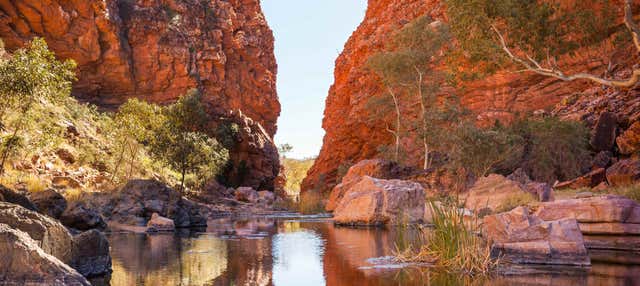 Tour di Alice Springs