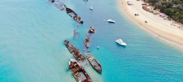 Escursione a Moreton Island