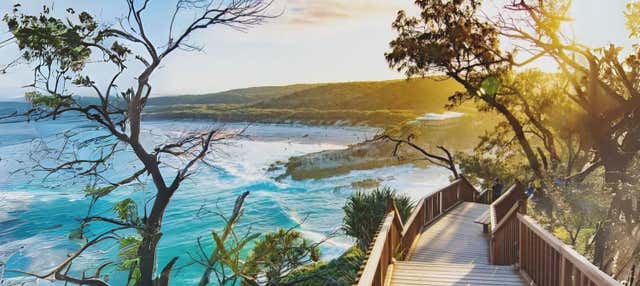 Escursione a North Stradbroke Island