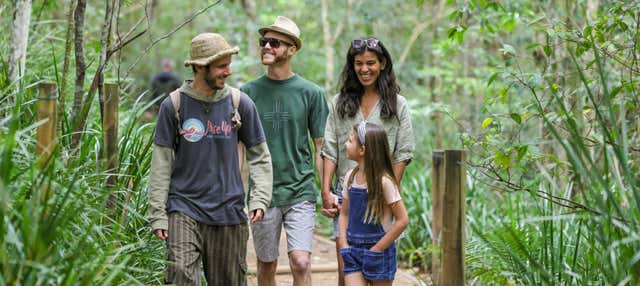 Esperienza Hinterland Magic e Glow-worm