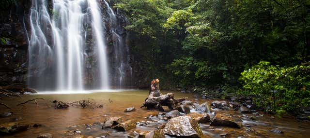 Escursione a Atherton Tablelands