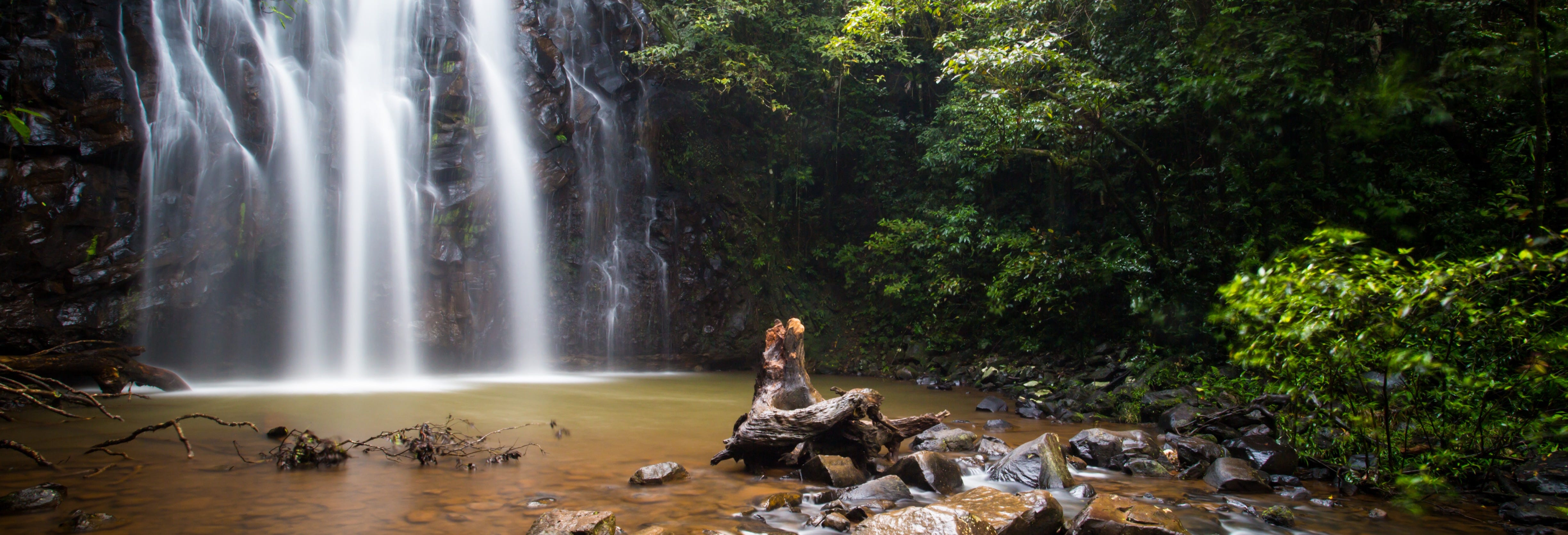 Atherton Tablelands Tour