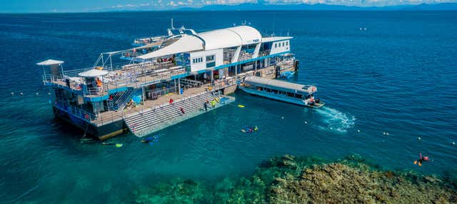 Escursione alla Grande Barriera Corallina e alla piattaforma Reef Magic