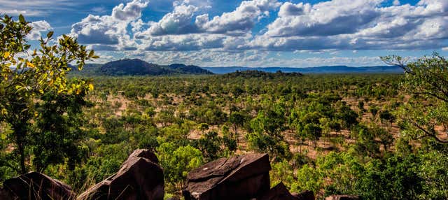 Escursione all'Outback e Chillagoe