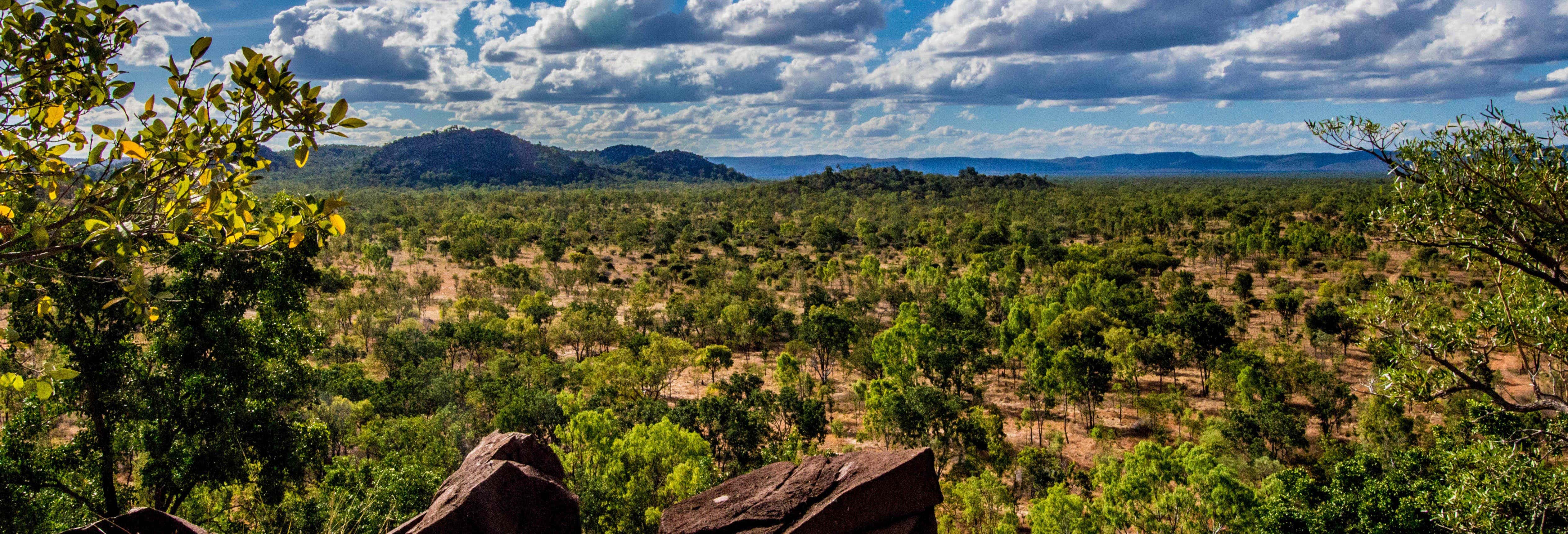 Escursione all'Outback e Chillagoe