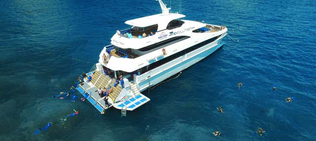 Snorkeling nella Grande Barriera Corallina + Giro in elicottero