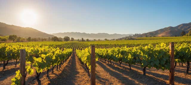 Escursione alle cantine di Murrumbateman
