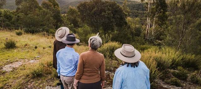 Tour della Riserva Naturale di Tidbinbilla