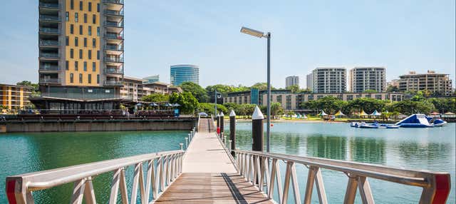 Autobus turistico di Darwin