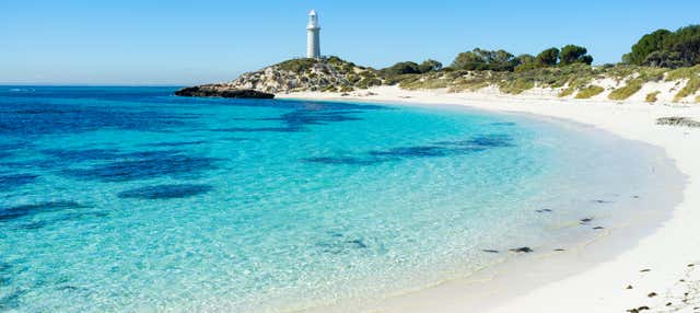 Escursione all'Isola Bathurst