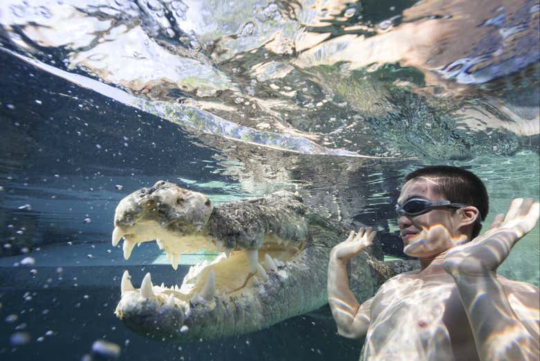 Ver más fotos