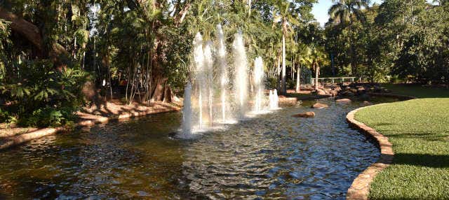 Visita guidata di Darwin