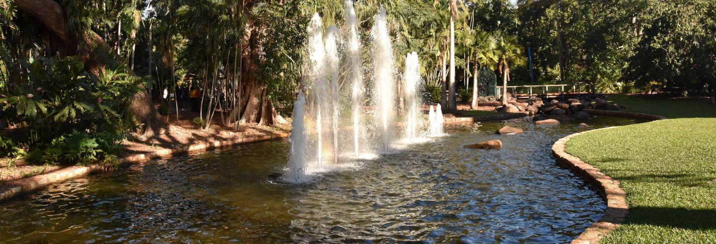 Visita guidata di Darwin