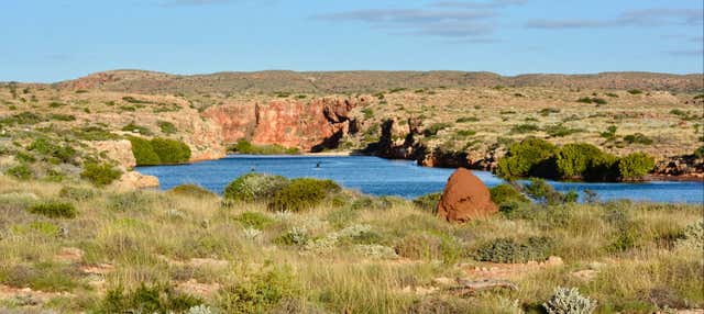 Escursione a Ningaloo