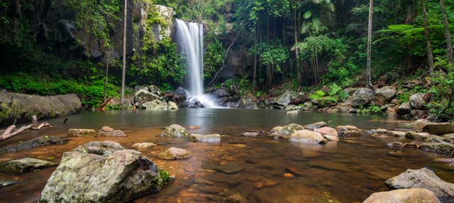 Escursione al Parco Nazionale Tamborine