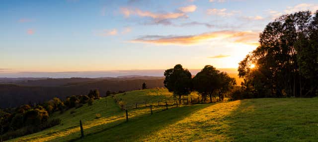 Tour del vino sulla Tamborine Mountain