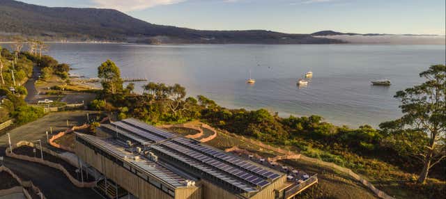 Escursione all'isola Bruny