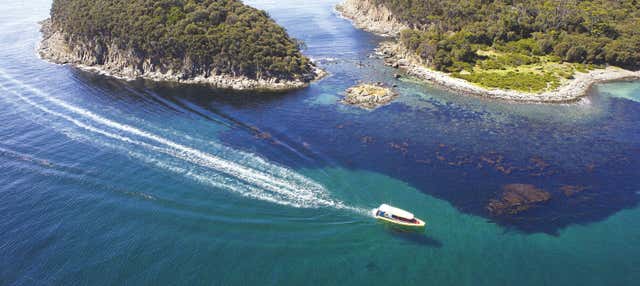 Escursione all'isola Bruny con giro in barca
