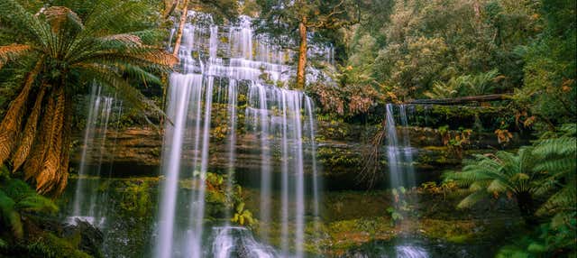 Escursione al Mount Field National Park