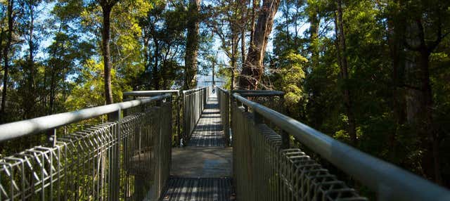 Escursione alla valle di Huon e alle grotte di Hastings