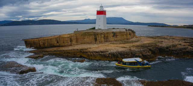 Giro in barca lungo la costa della Tasmania