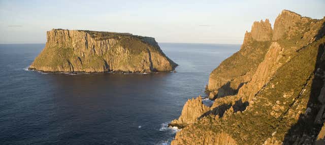 Giro in barca all'isola Tasman