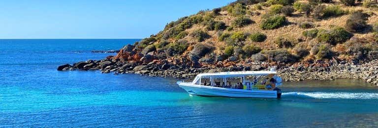 Kangaroo Island Boat Tour