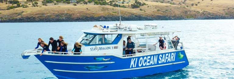 Snorkel with Dolphins or Seals on Kangaroo Island