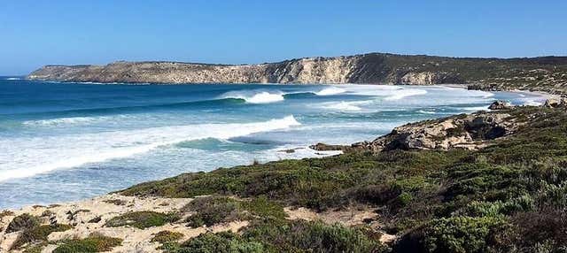 Tour di Kangaroo Island