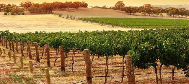 Tour dei vini e dei liquori di Kangaroo Island