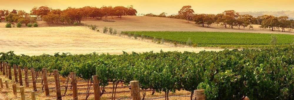 Kangaroo Island Wine & Food Tasting Experience