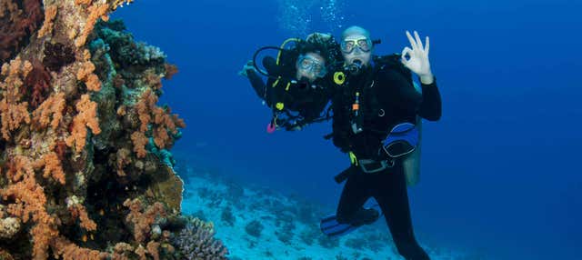 Immersione per principianti all'isola di Lord Howe