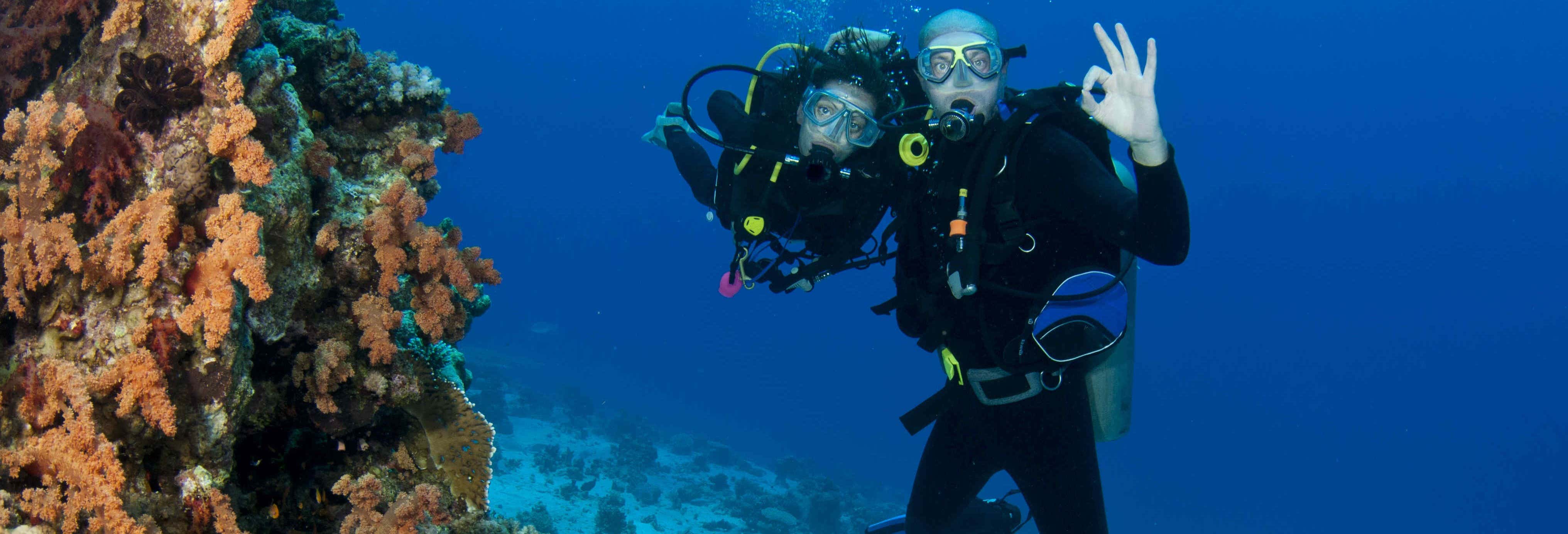 Lord Howe Island Scuba Diving Introduction