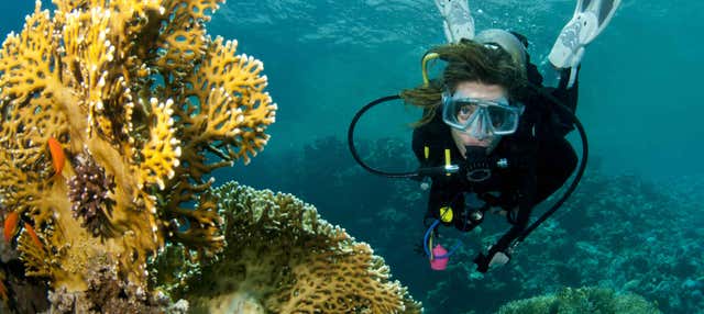 Immersione all'isola di Lord Howe