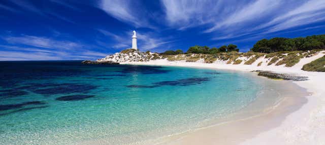 Tour dell'isola di Rottnest