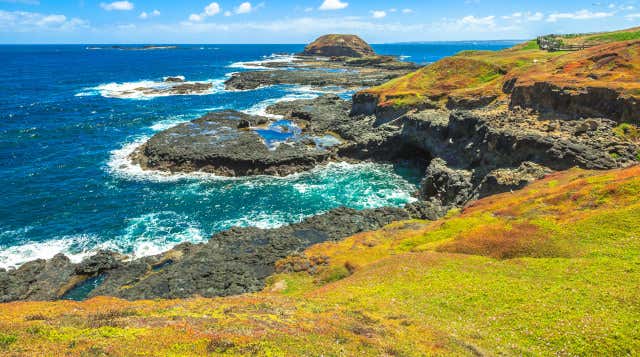 Isla Phillip