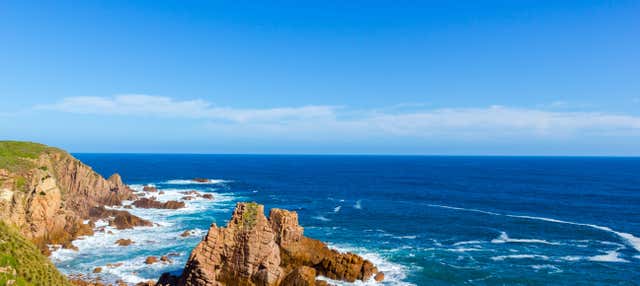 Giro in barca a Phillip Island