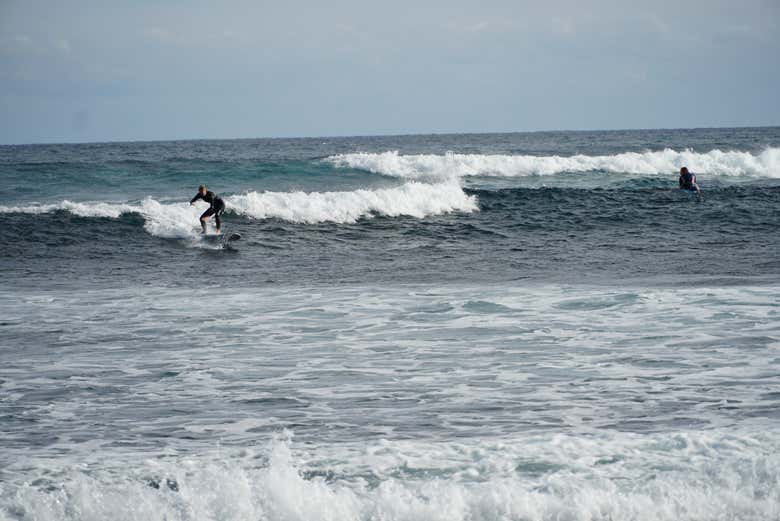 Imagen 6