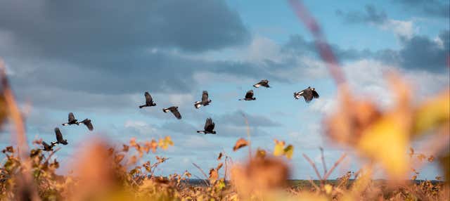 Tour gastronomico di Augusta Margaret River