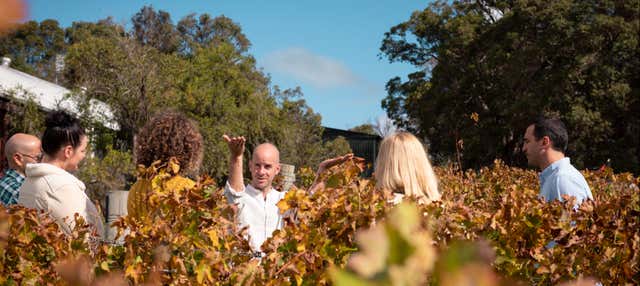 Tour privado por Margaret River