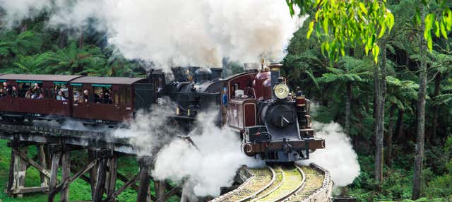 Escursione al Santuario di Healesville + Treno Puffing Billy