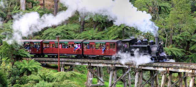Treno Puffing Billy + Parata dei pinguini a Phillip Island