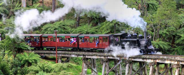 Tren Puffing Billy + Desfile de pingüinos en la Isla Phillip