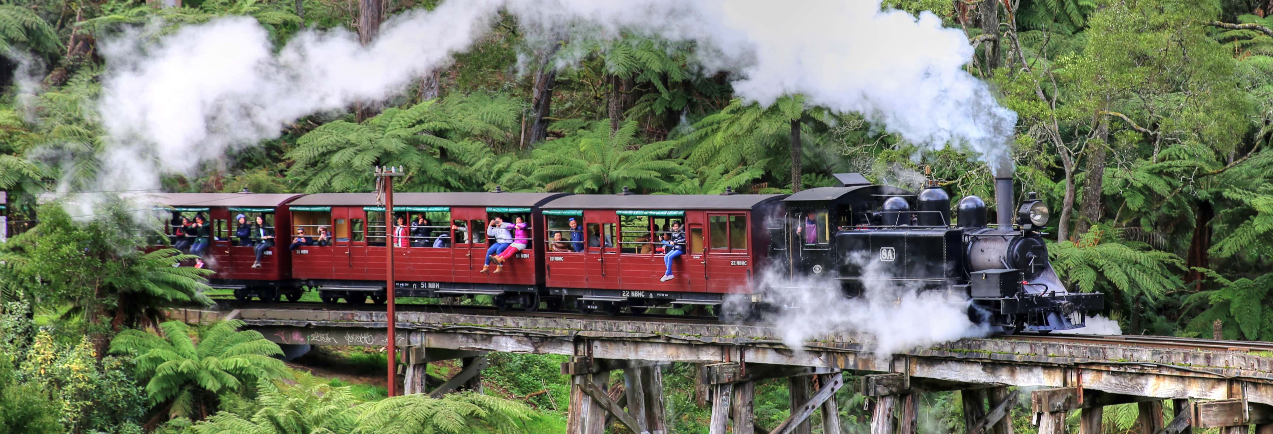 Treno Puffing Billy + Parata dei pinguini a Phillip Island