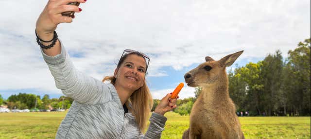 Scheda eSIM con Internet in Australia