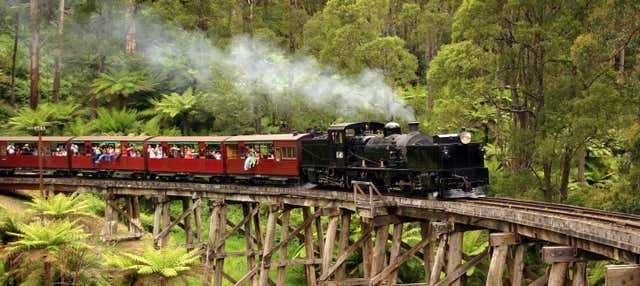 Treno Puffing Billy, foresta di sequoie e Yarra Valley