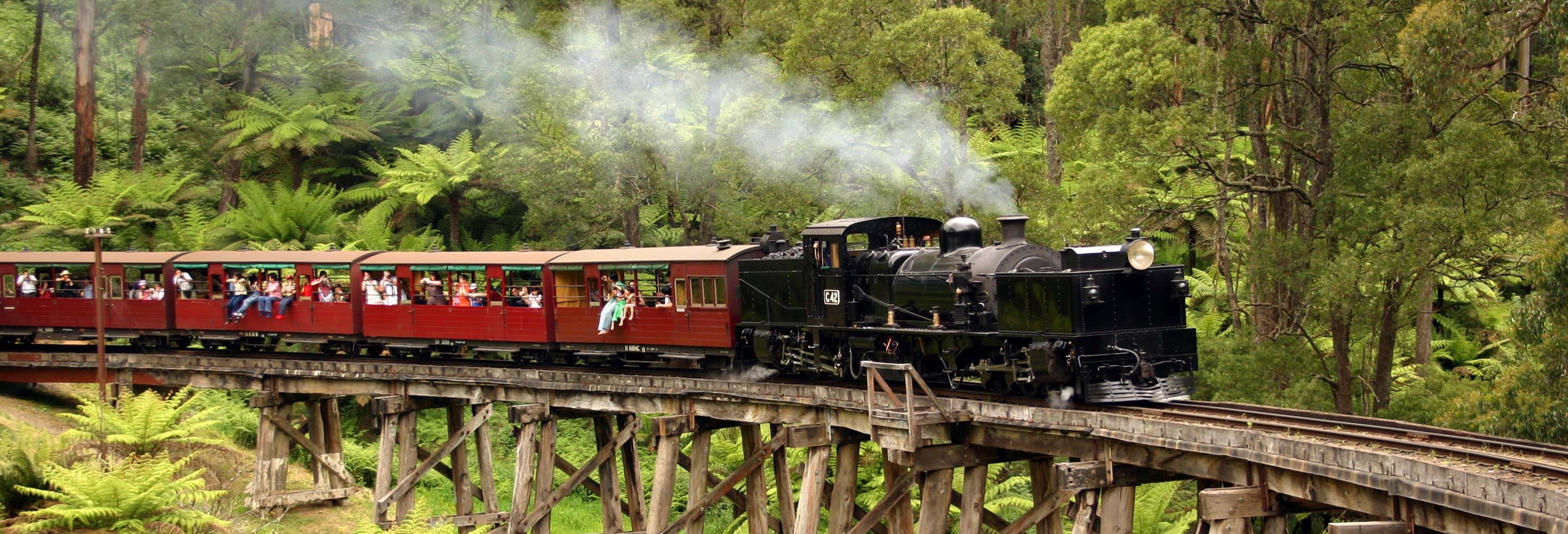 Treno Puffing Billy, foresta di sequoie e Yarra Valley
