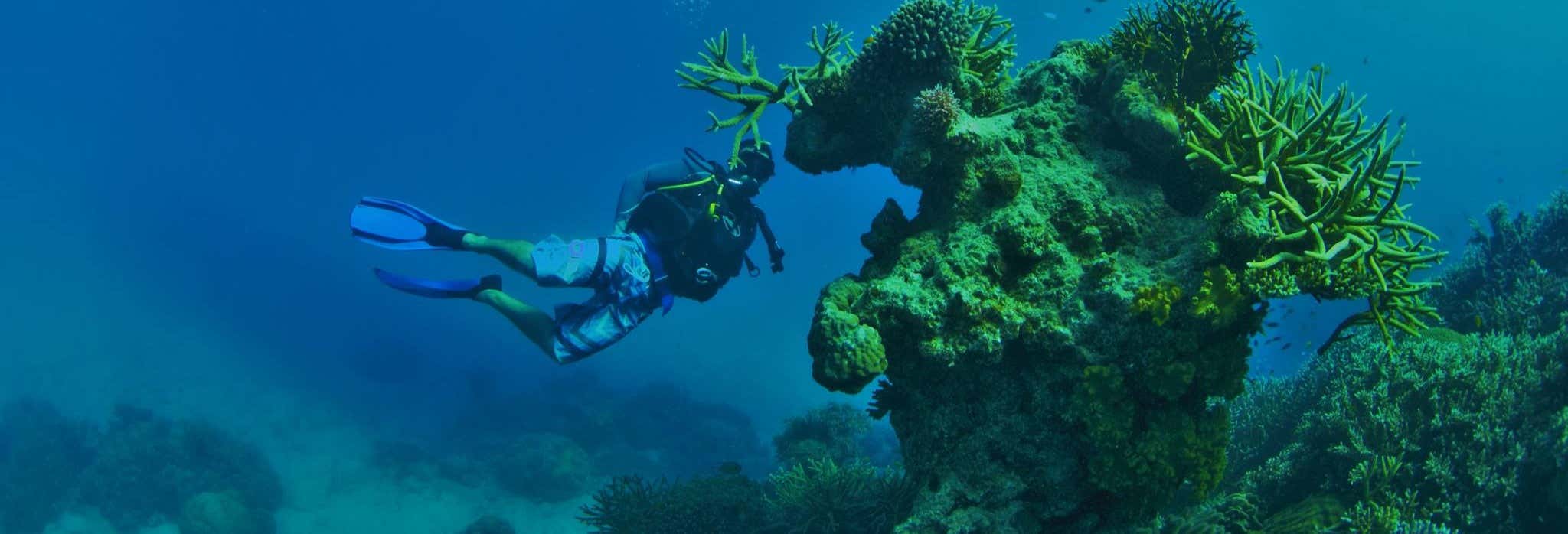 Great Barrier Reef Diving Lessons